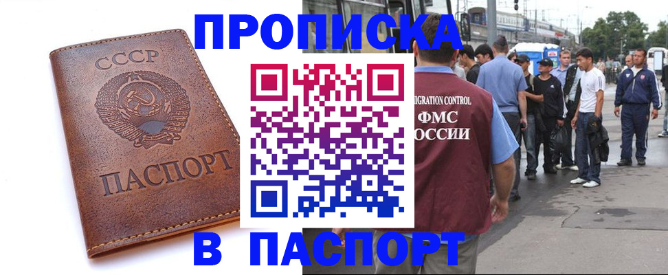 временная регистрация поиск в Железногорске